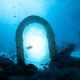 Illustration for article titled Study Finds Salmon Complete Transatlantic Voyage Using Same Teleportation Chamber As Ancestors